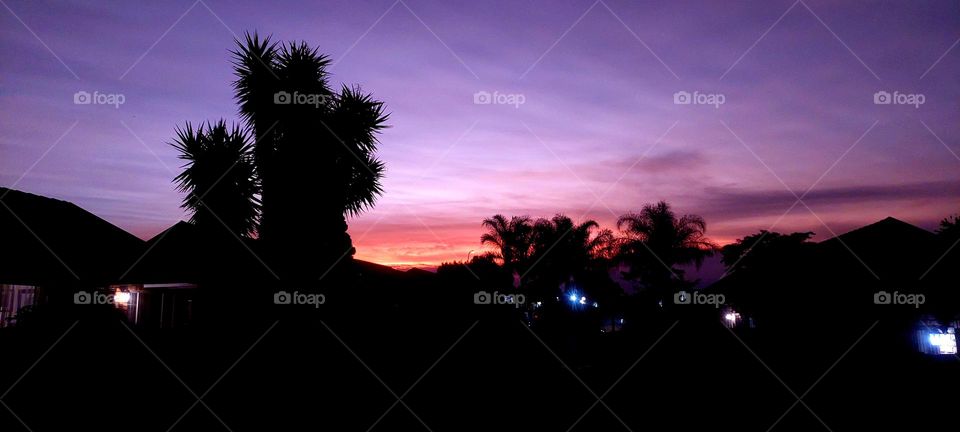 Stunning colors in the night sky.