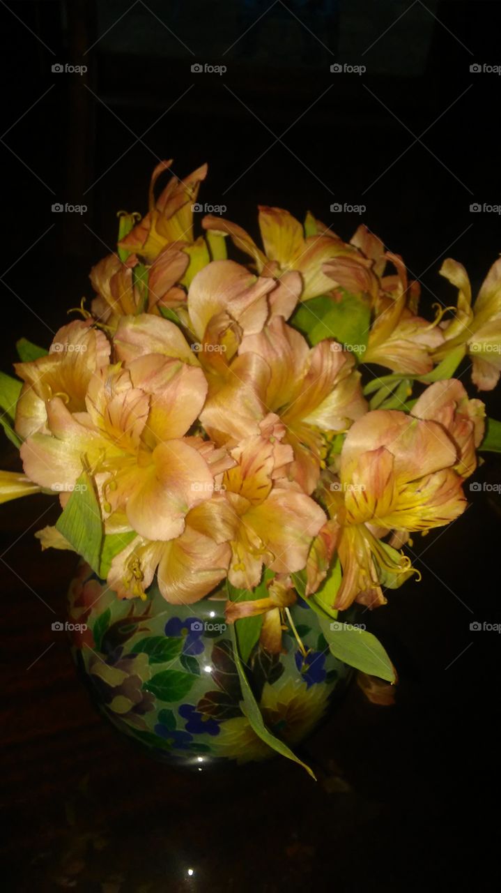 Bouquet of flowers 💐