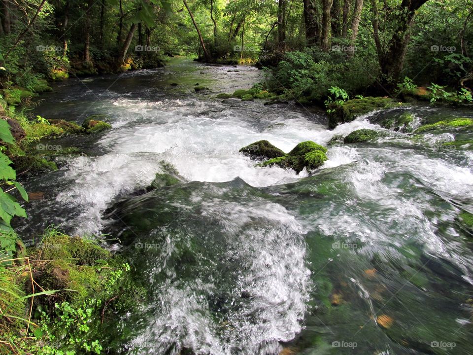 Rushing spring water. Rushing spring water