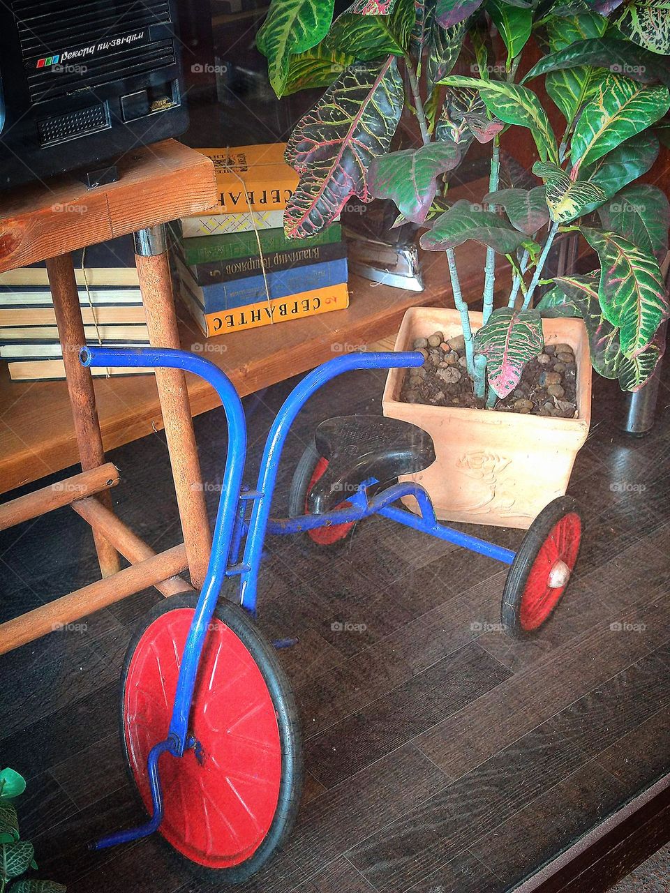 Bicycles.  Children's tricycle from the 60s.  In the background: flower pot, stacks of books