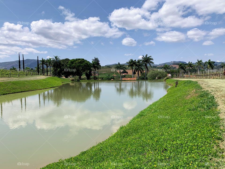 landscape of a winery