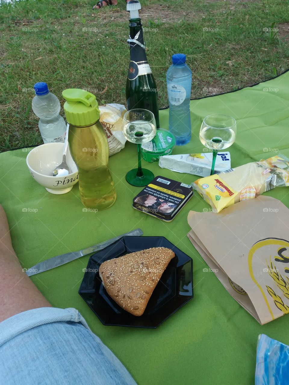 picknick on the Moussel Germany