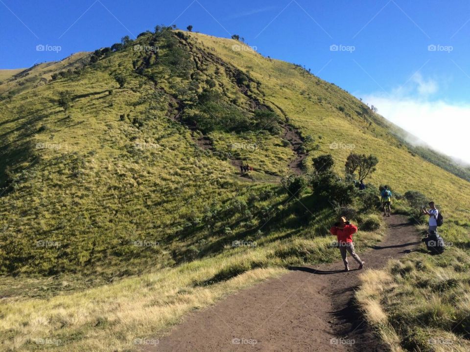 hbvv gduu zduv jcsf bosjsks i z siss kkb oqlw xxi ududhe ri wjwiwj du s sbsiw pi js sn