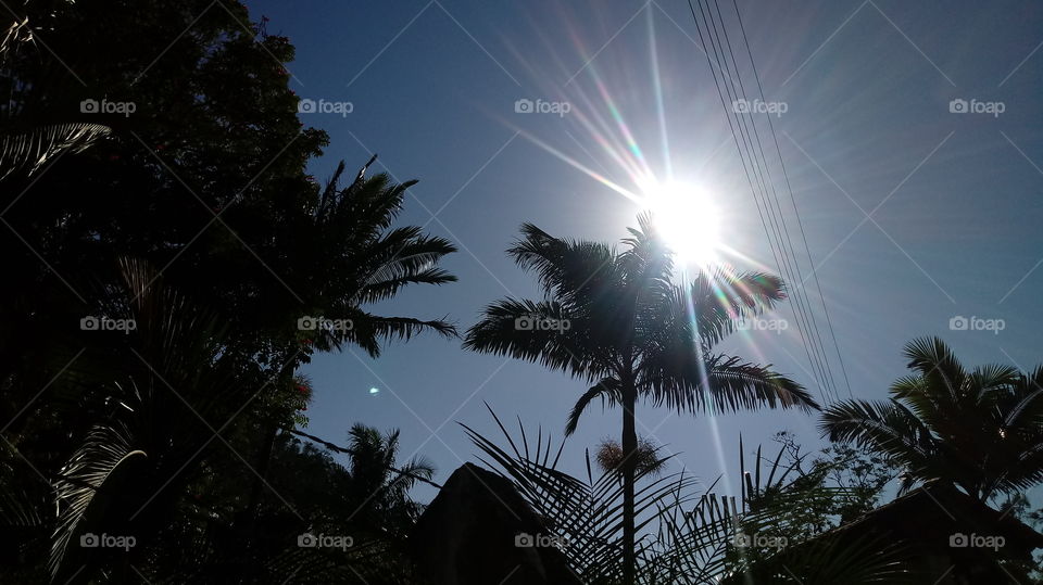 ຕົ້ນໄມ້ທີ່ສວຍງາມ, ມະຫັດສະຈັນ, ພູມສັນຖານ, ທຳ ມະຊາດ, ແສງແດດ, ແສງແດດ, ສິ່ງແວດລ້ອມ, ທຳ ມະຊາດ, ທຳ ມະຊາດ, ອາກາດສົດ, ຜ່ອນຄາຍ.