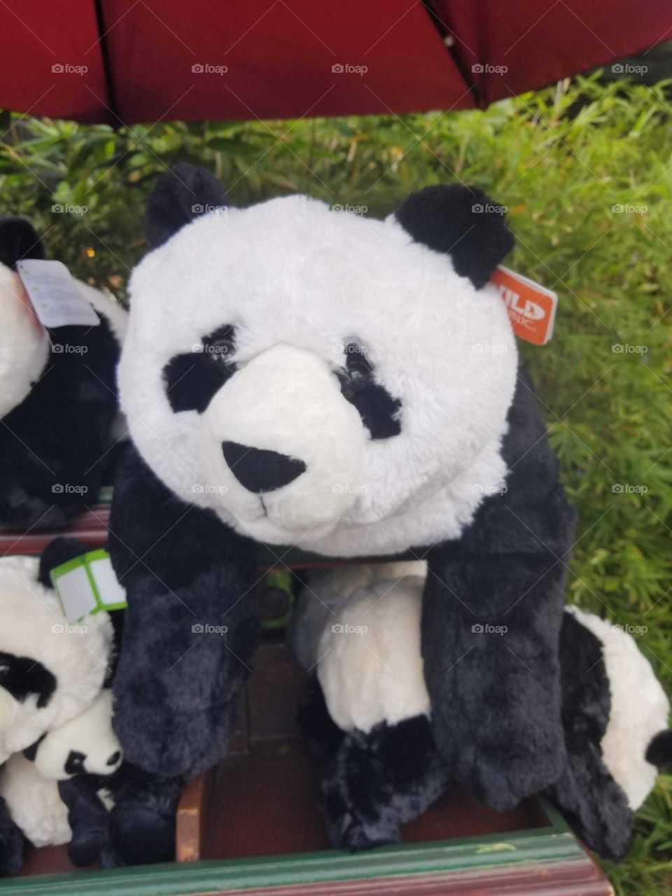 Urso  Panda de pelúcia .