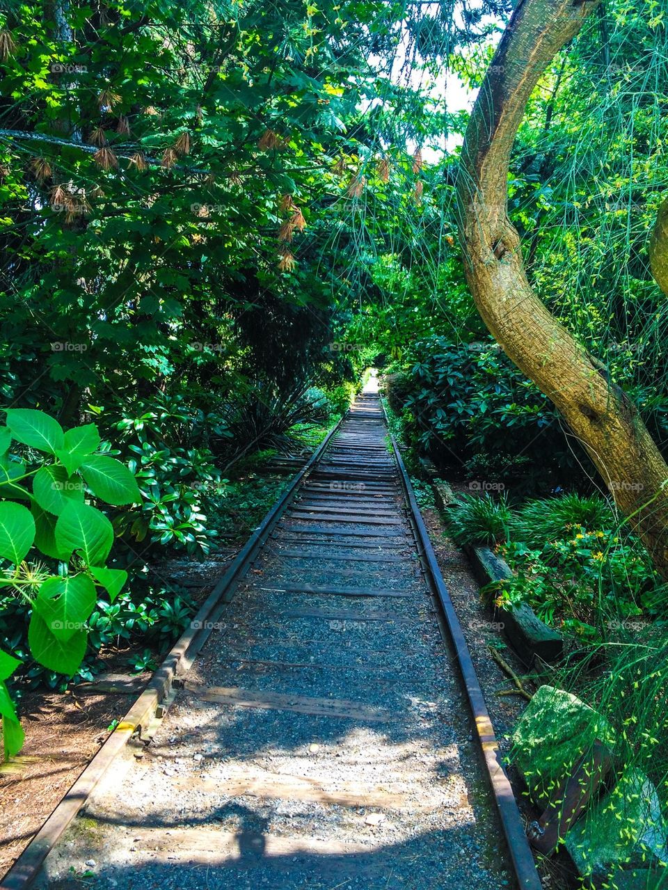 Abandoned tracks