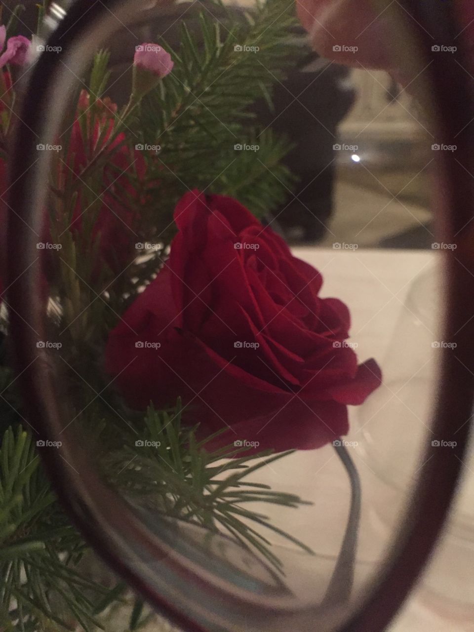 Rose in frame