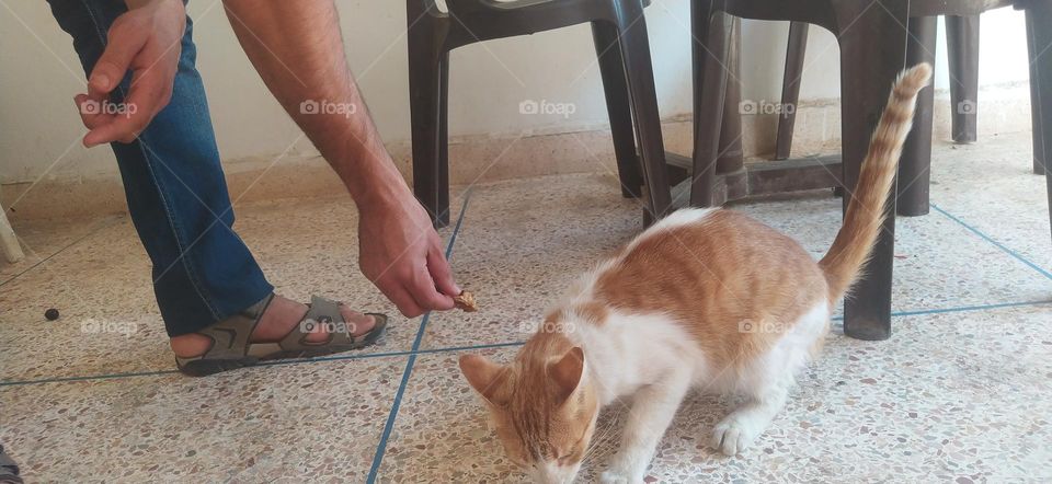 be kind with animals