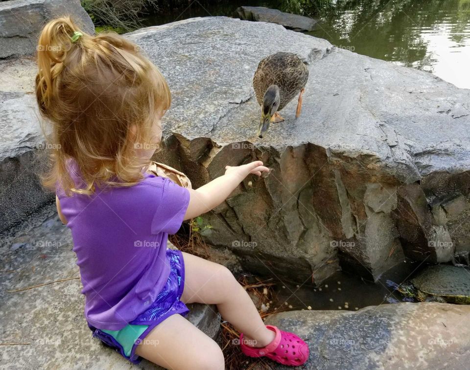 a day in the park