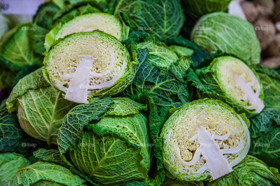 Close-up of cabbage