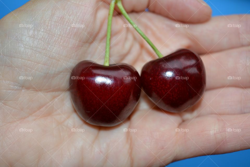 Person's hand holding cherry