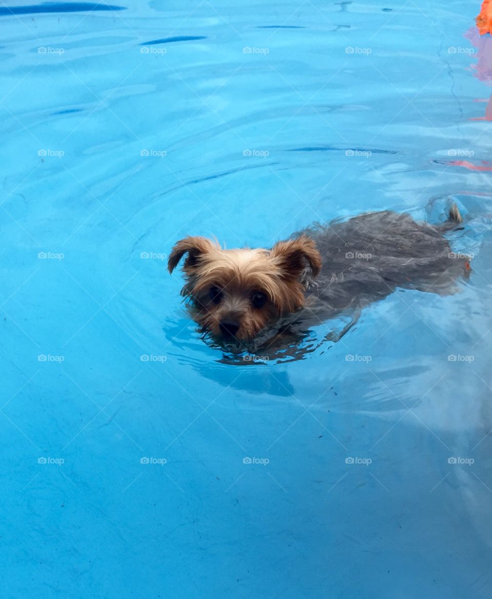 Zack swimming