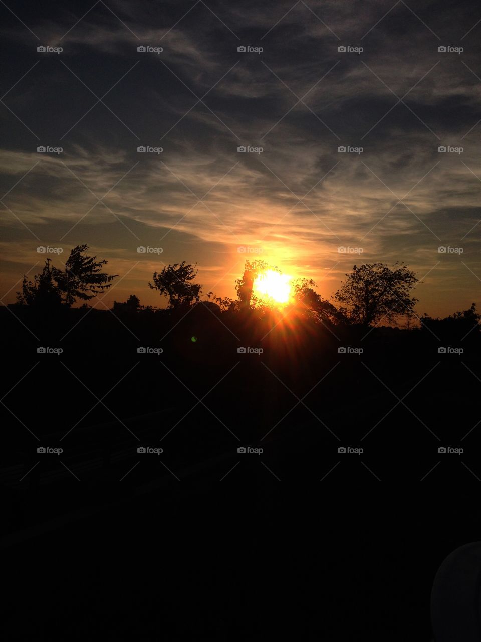 Cloudy haze and golden sunset glow on the horizon over silhouetted trees