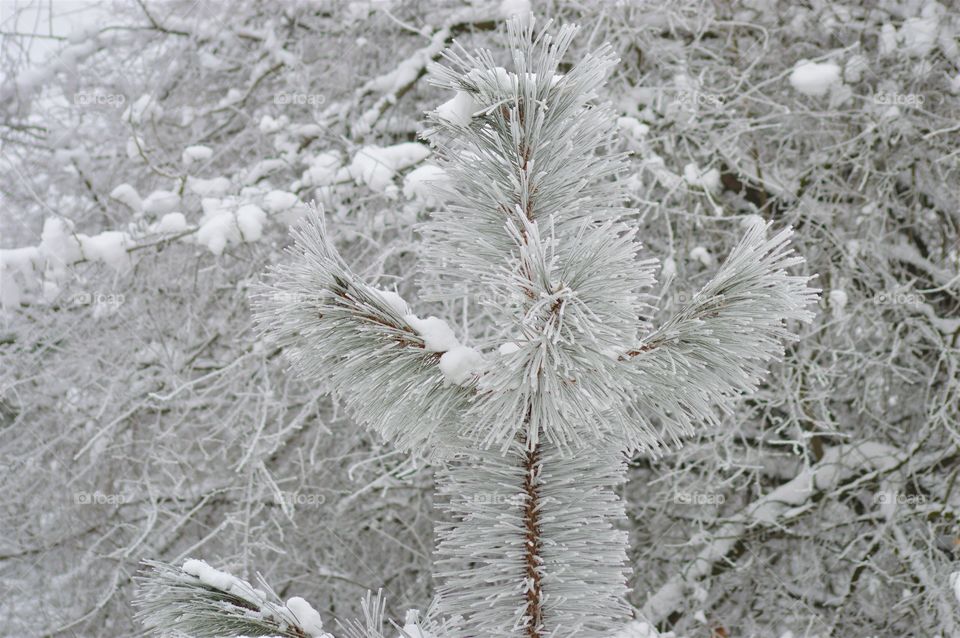 winter stories