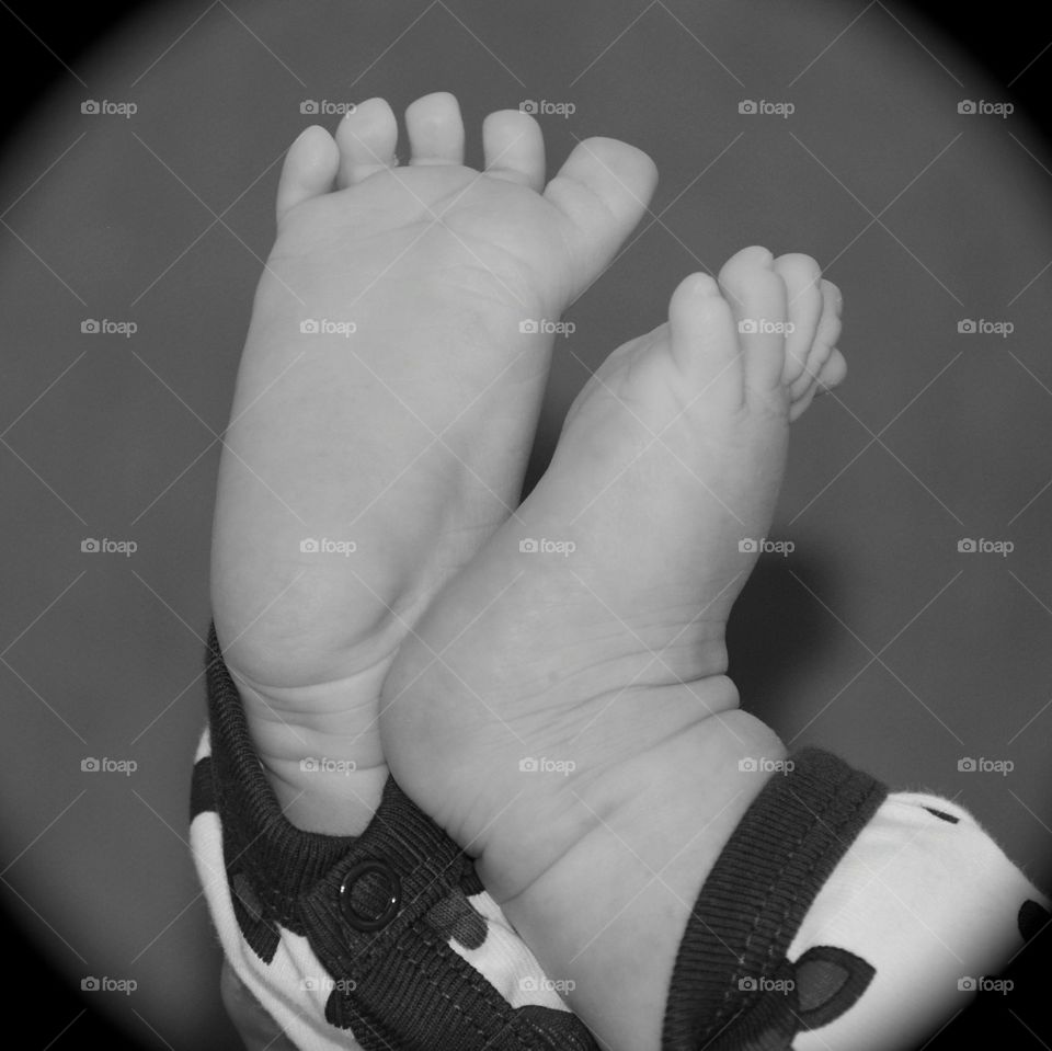 Seven weeks old feet