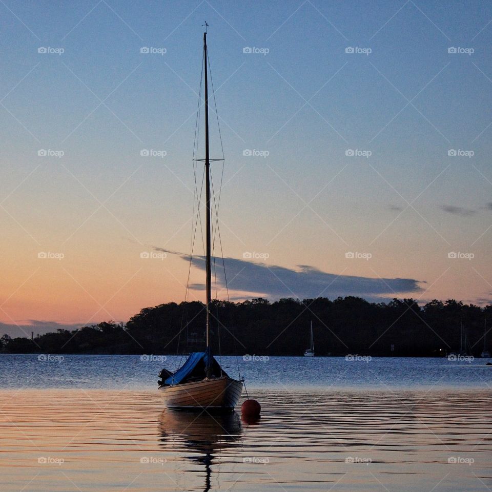 Peace in the harbour