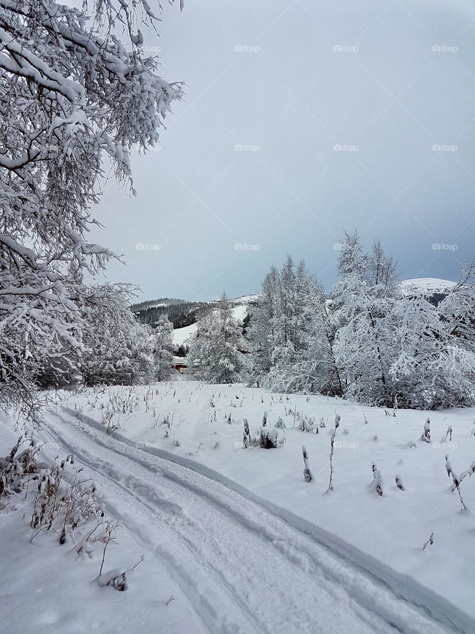 Snowmobile track, December weather