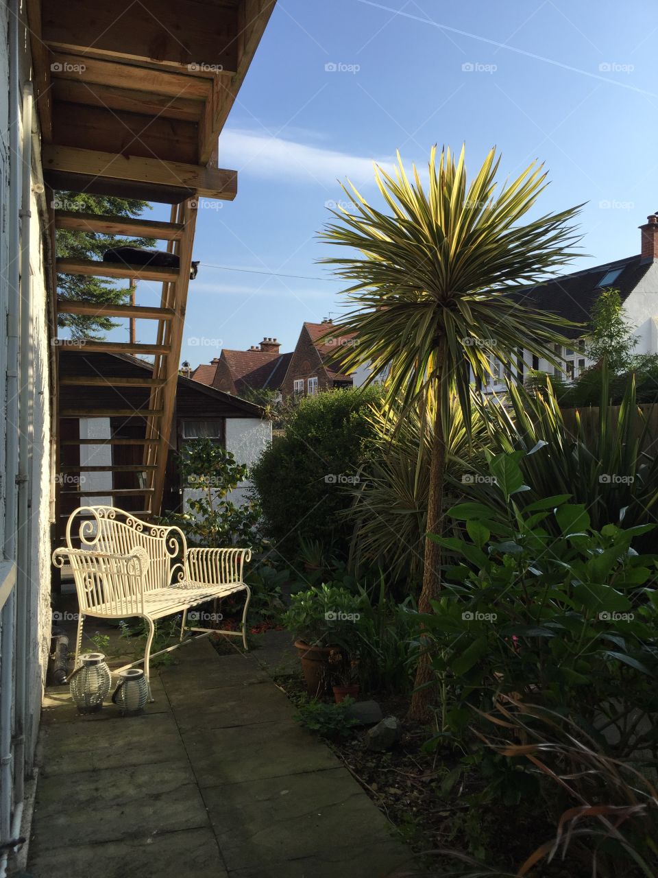 English garden. Harmony. Cat. Palm tree. Garden bench. 