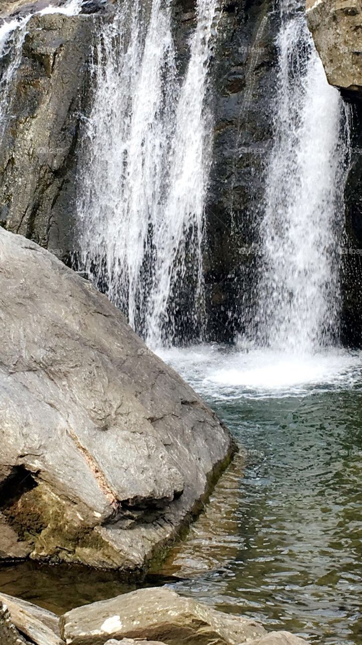 Fallen Branch in Pylesville, MD
