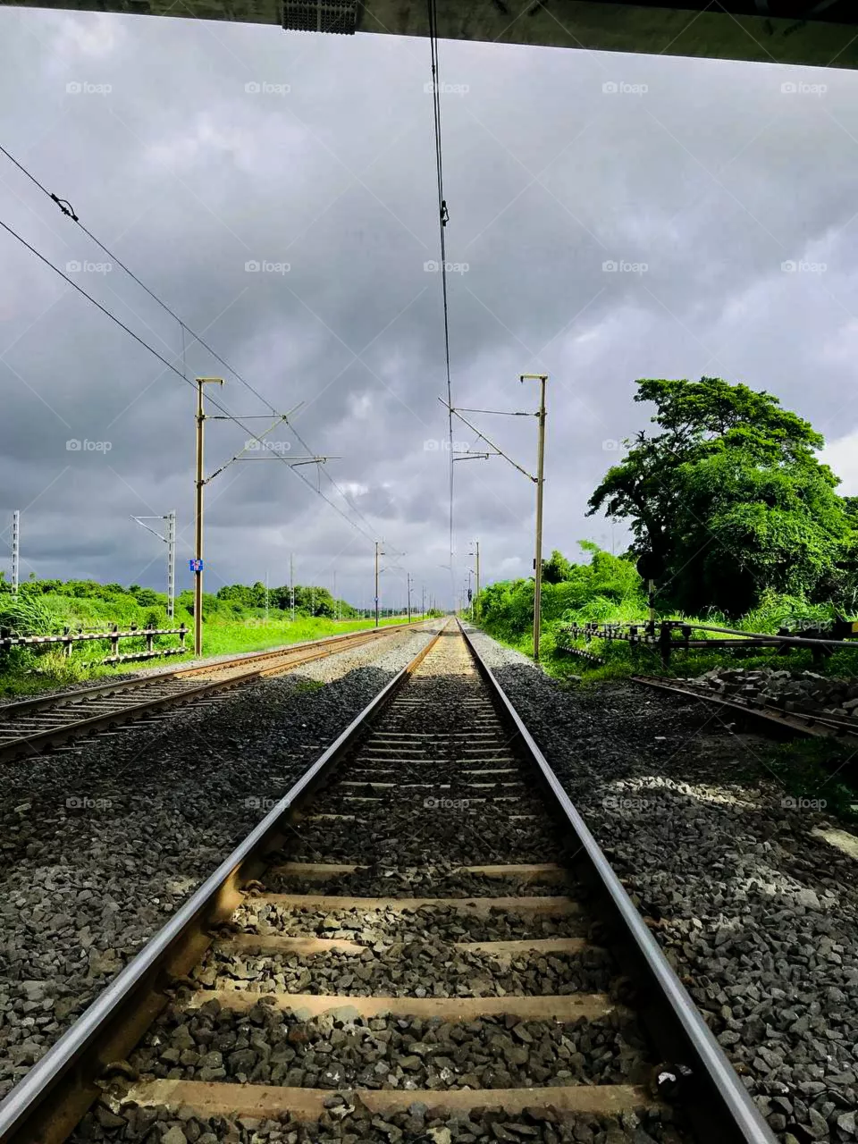 🛤️🍀❤️
