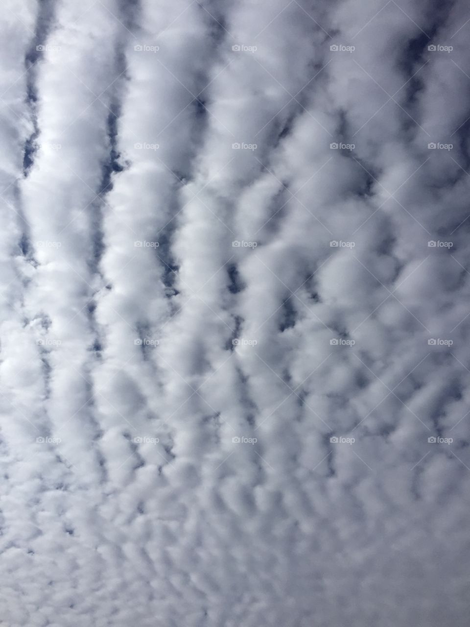 Abstract picture of clouds 