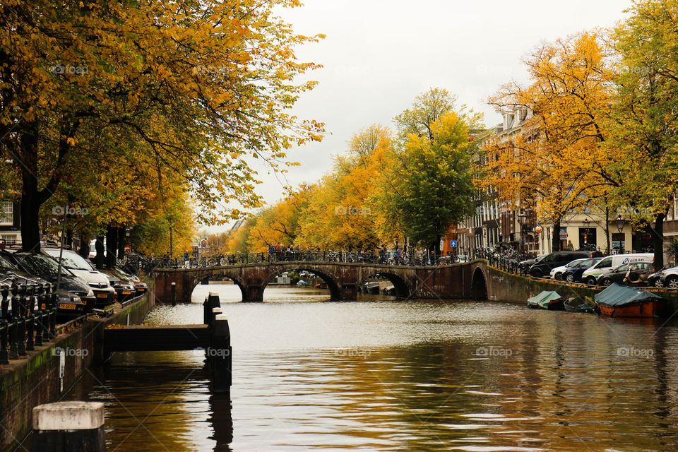 Autumn in Amsterdam Canal