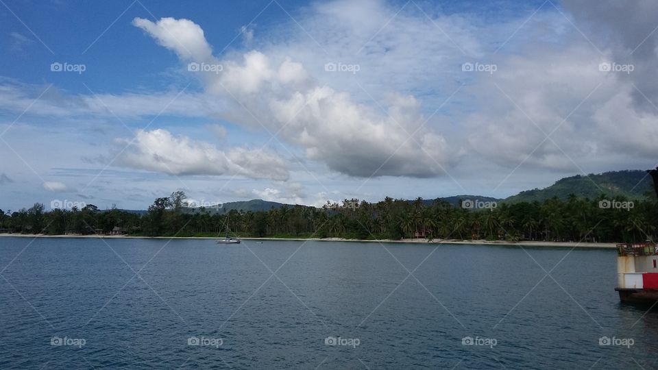 Water, Lake, Landscape, River, Tree