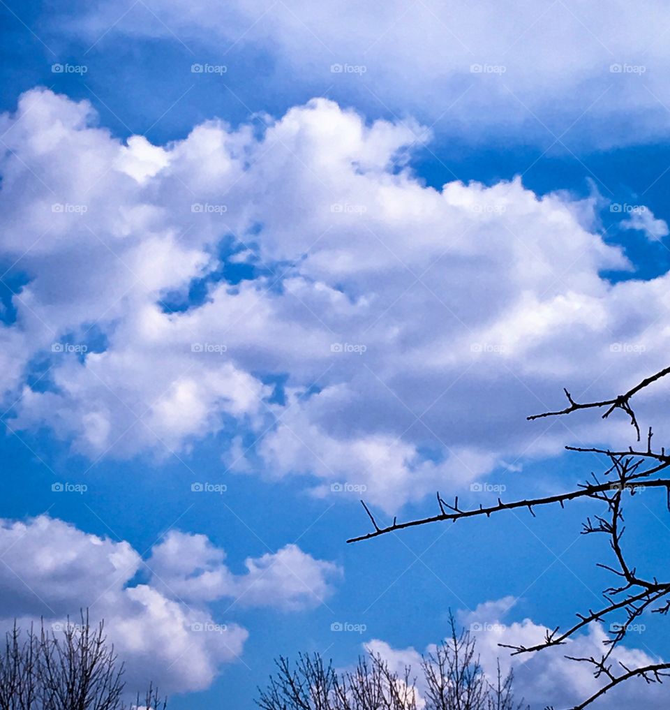White Kissing Clouds Frolicking One Warm Spring Afternoon in Heaven's Open Bright Blue Sky 