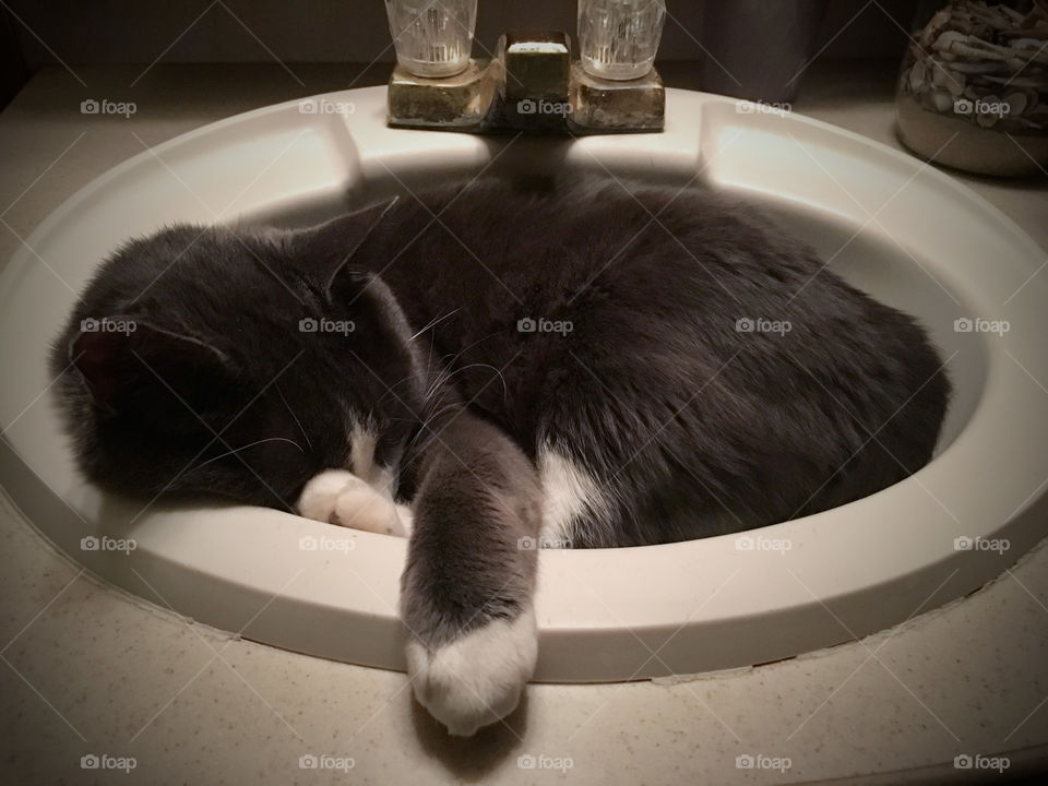 Sink Sleeper
