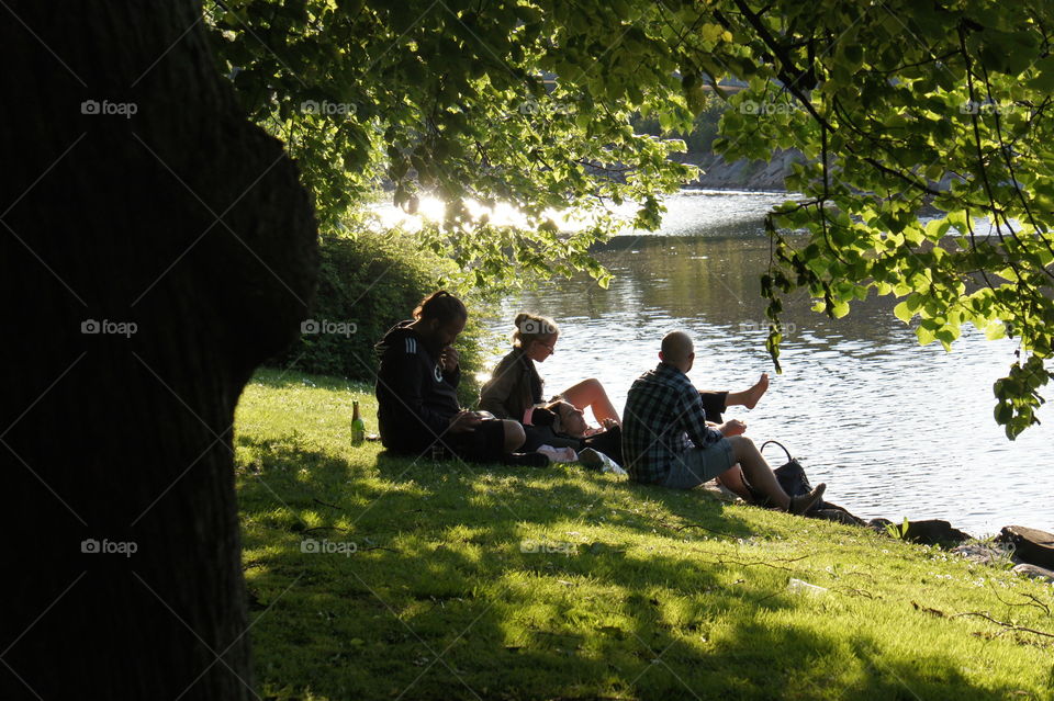 Chilling in the park