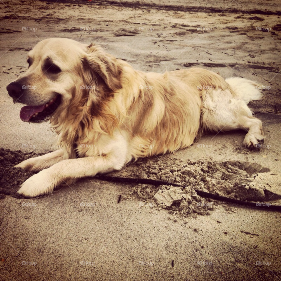 beach happy pretty summer by Zita