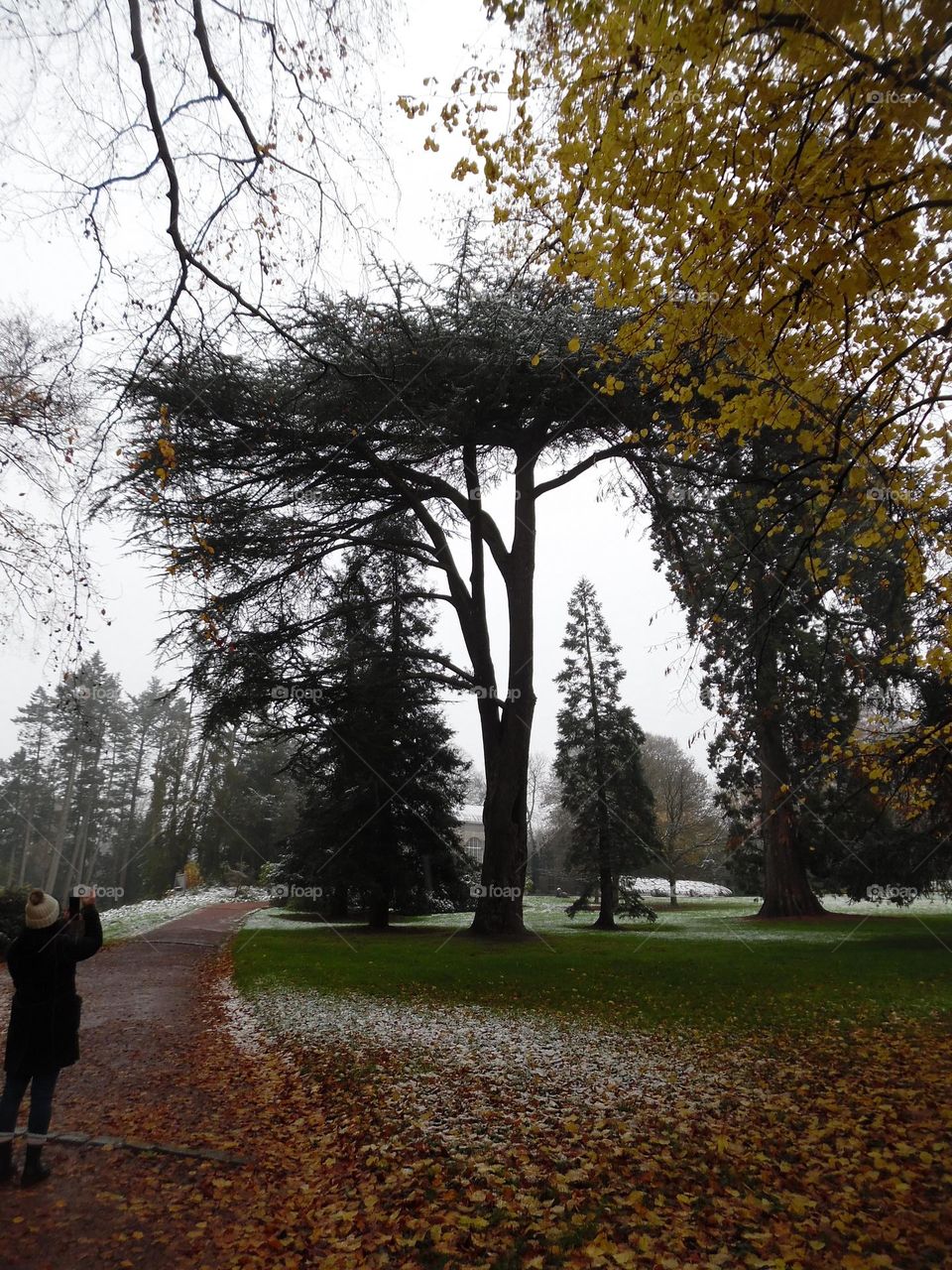 Parc de Mariemont , la Louvière