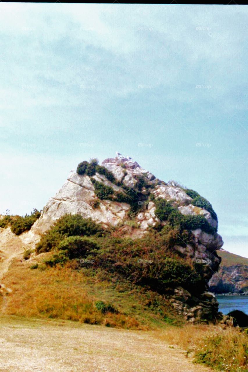 Oregon Coast 35mm