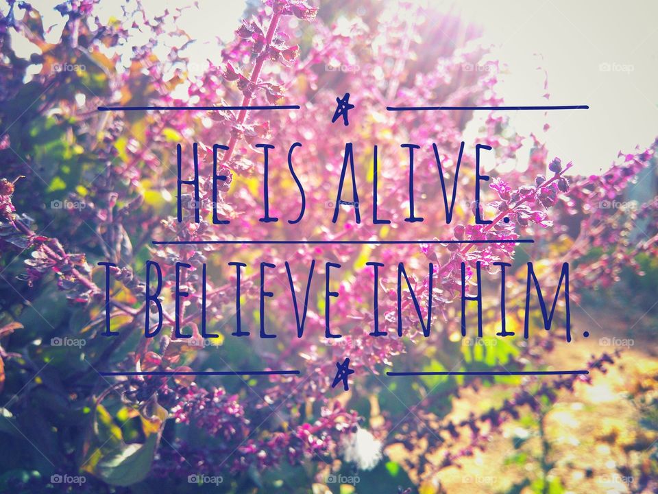 Jesus is Alive ! I believe in him.