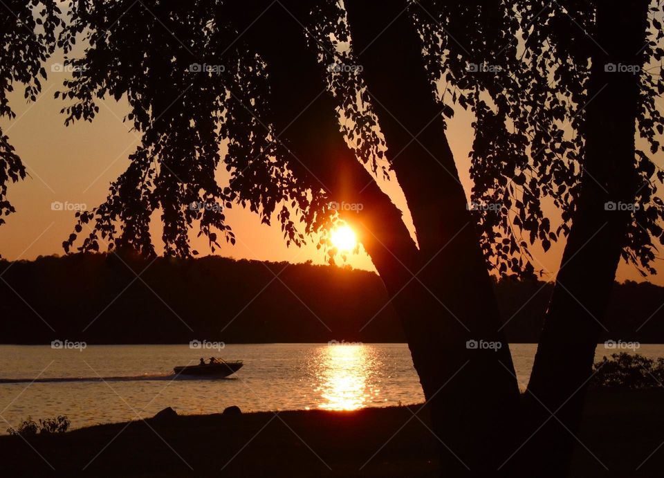 Sunset with a silhouette of a boat and a tree