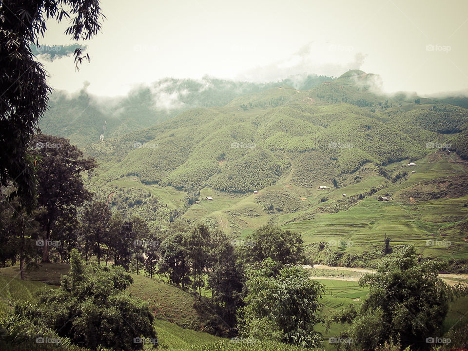 Sapa landscape