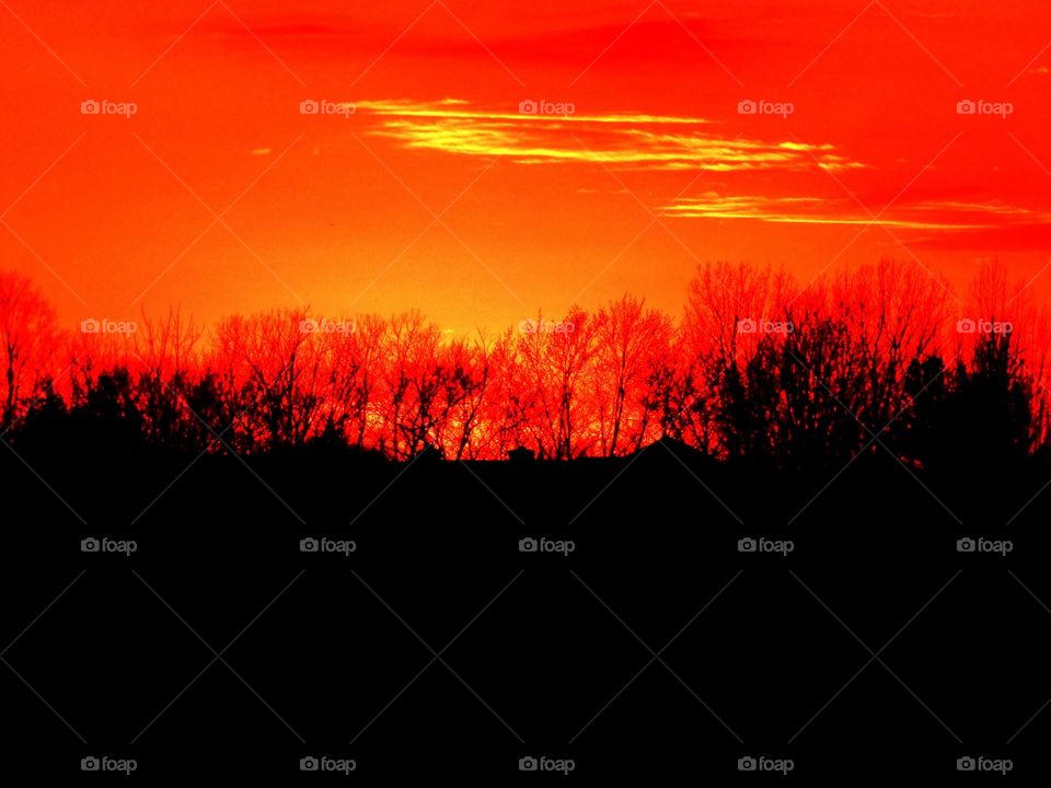 Beautiful sky tonight. 