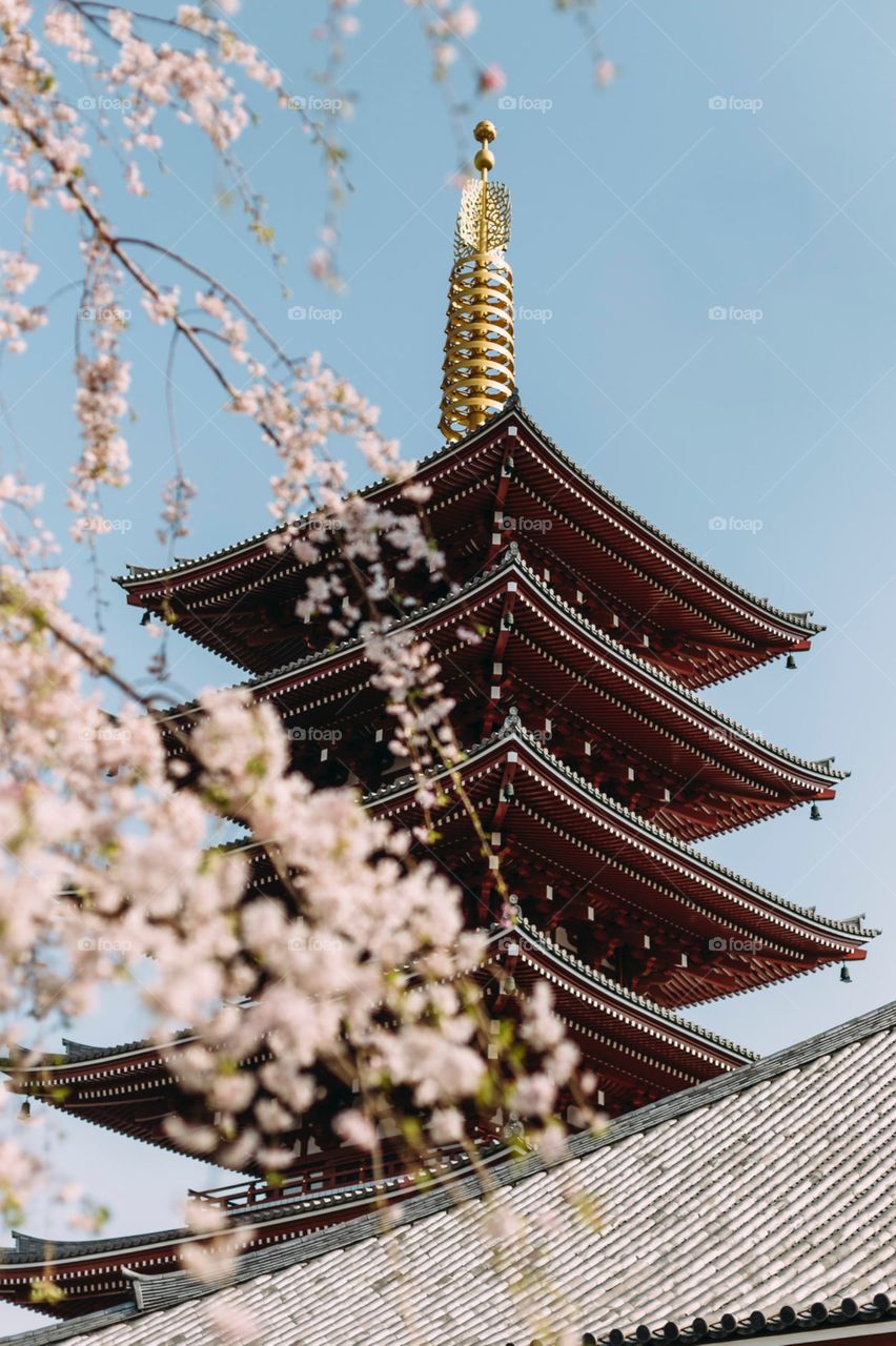 Sensō-ji, Taitō-ku, Japan