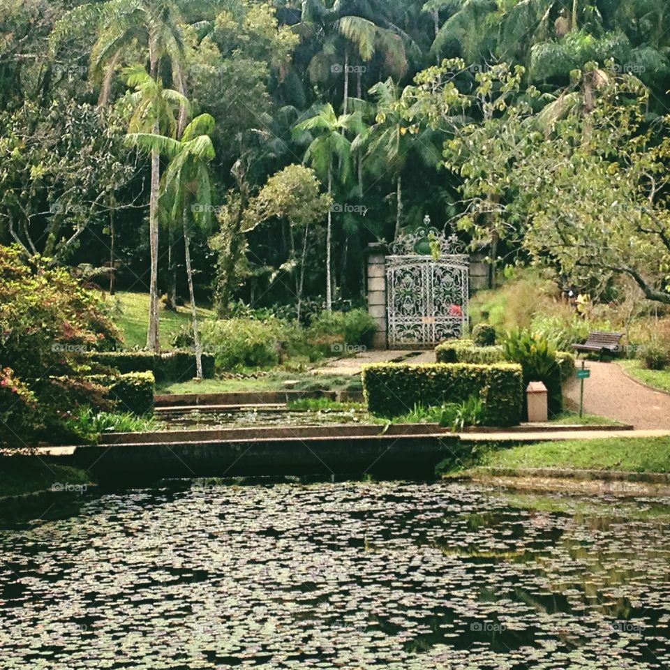 Historical gate. Visiting Botanical garden of São Paulo