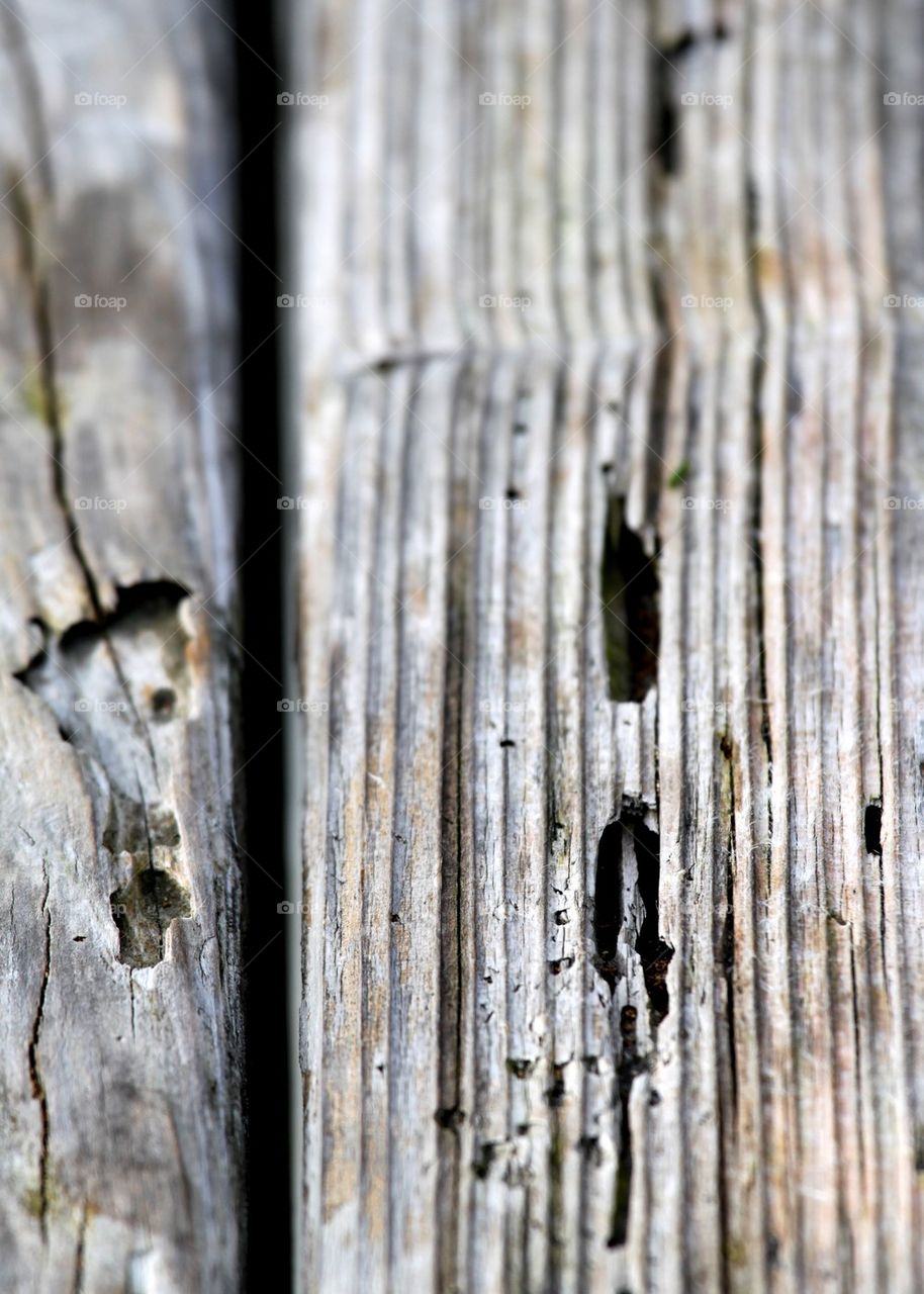 Old Wood Texture