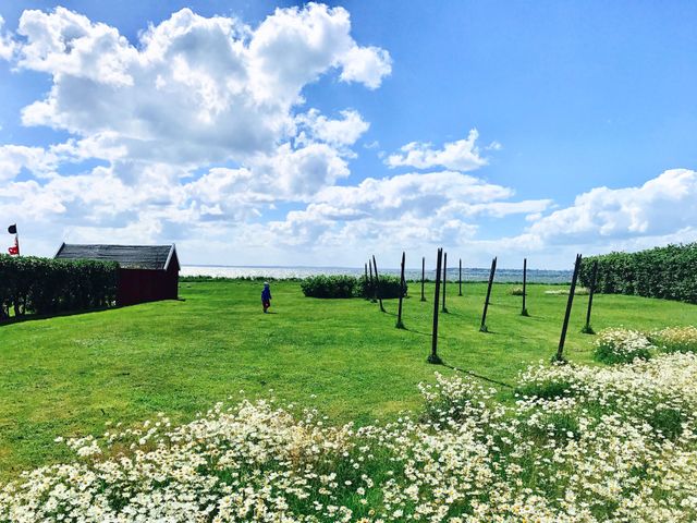 Grass, No Person, Landscape, Outdoors, Hayfield