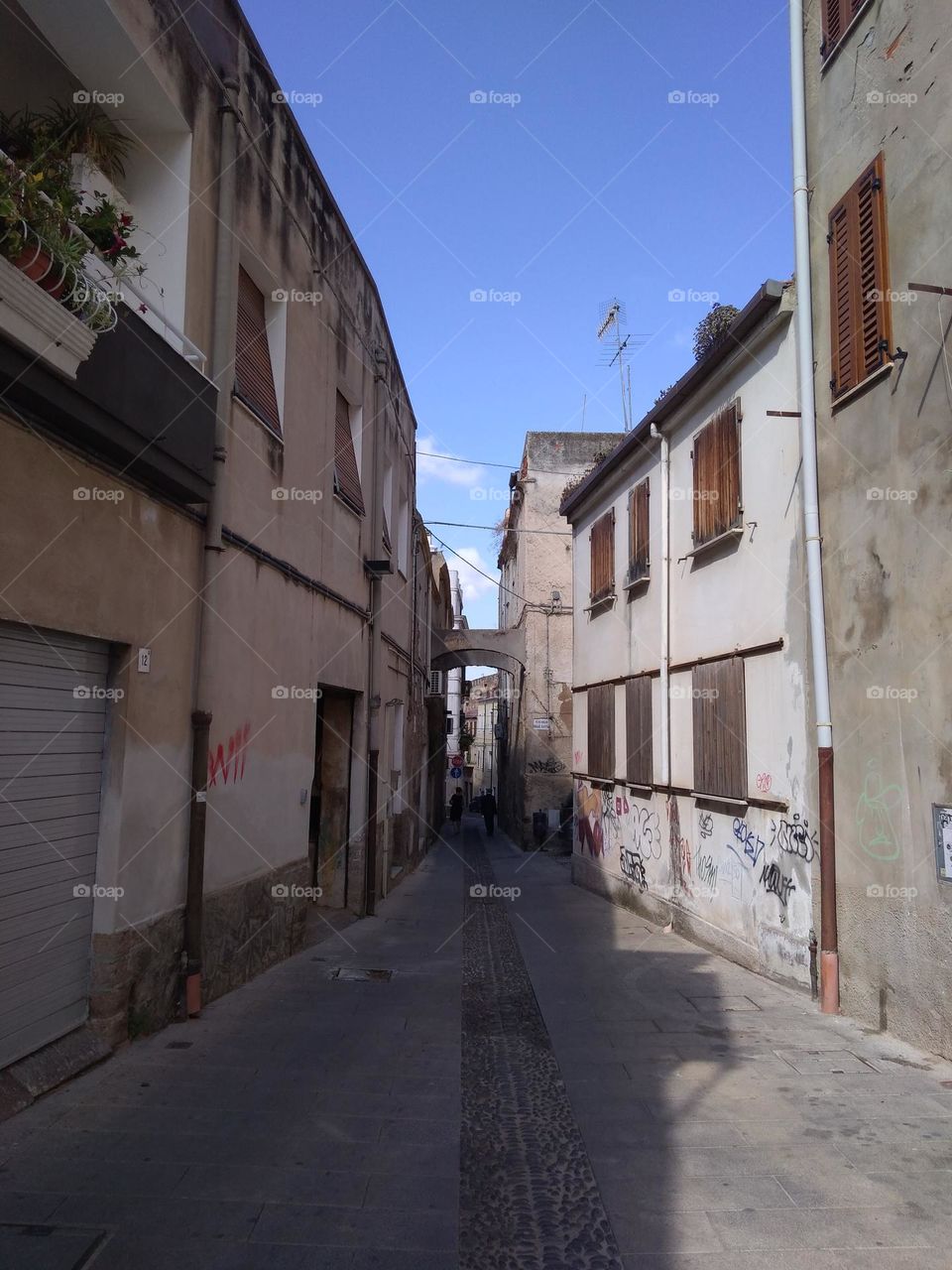 Editors' Choice: Photo of the Week