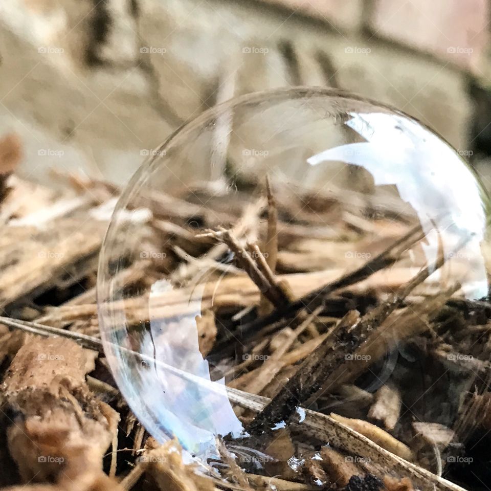 Close-up of a bubble