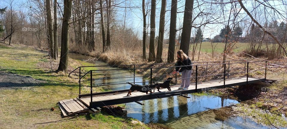 nature in the village