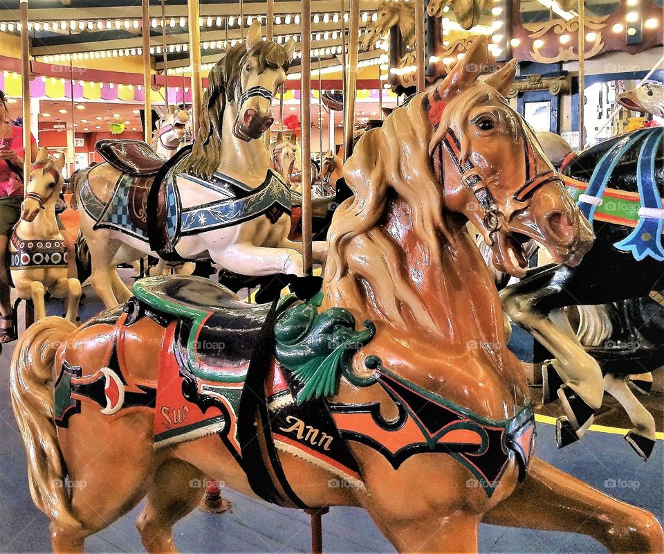 Carousel Horse