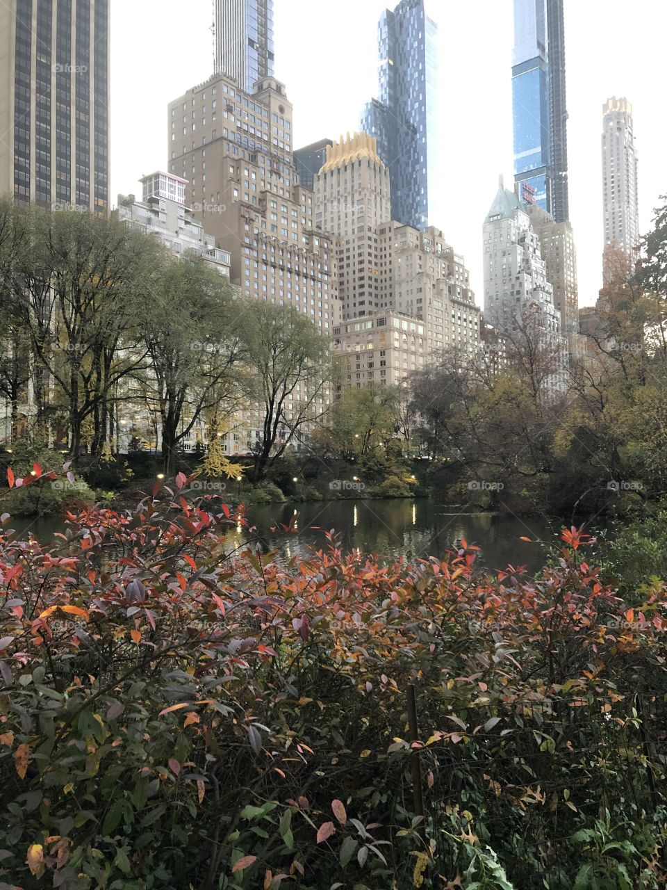 Oasis of tranquility in Central Park