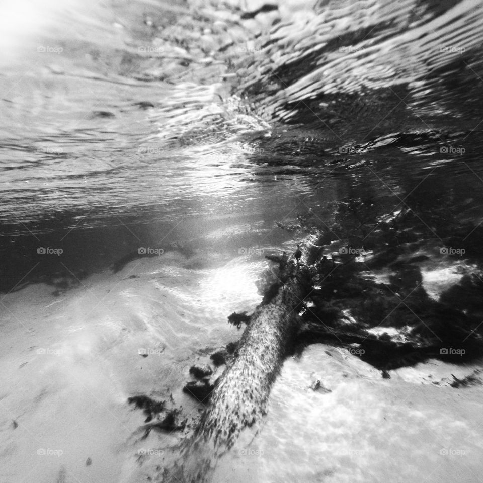 Life under water 