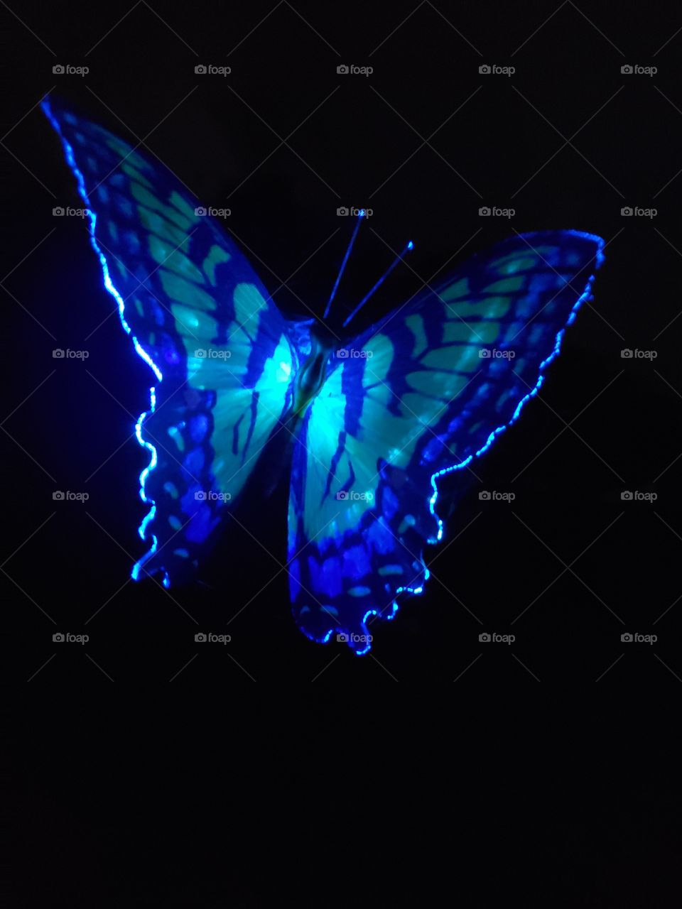 blue butterfly solar light