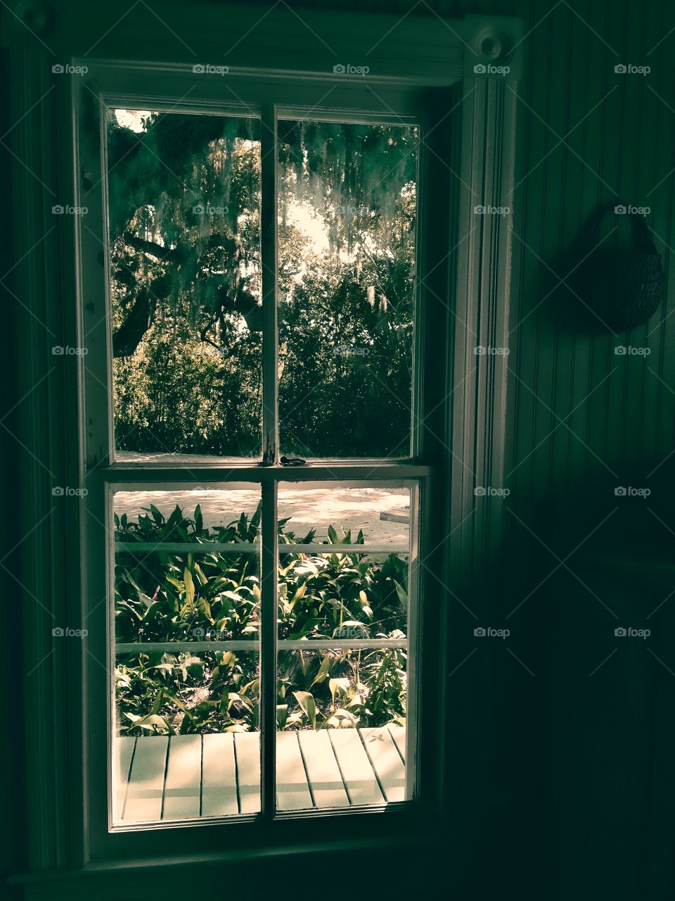 Spooky old window in a haunted house.