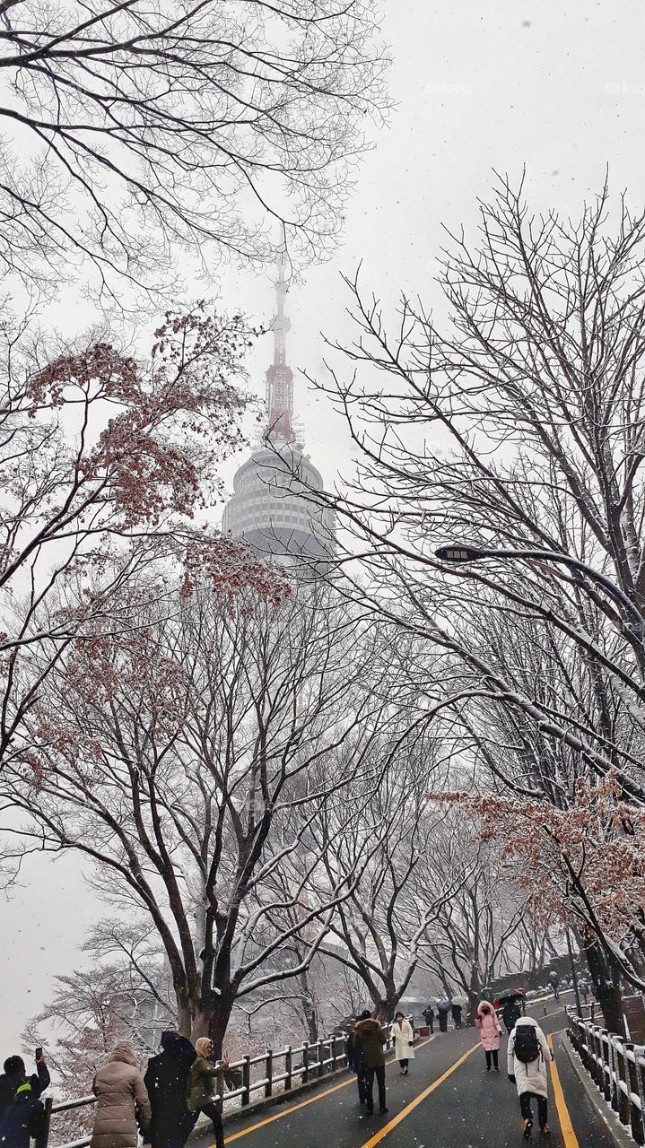 Snow in Seoul